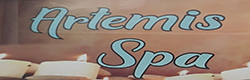 company logo here